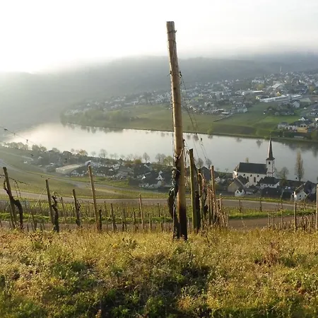 Mit Herrlichem Moselblick * Piesport