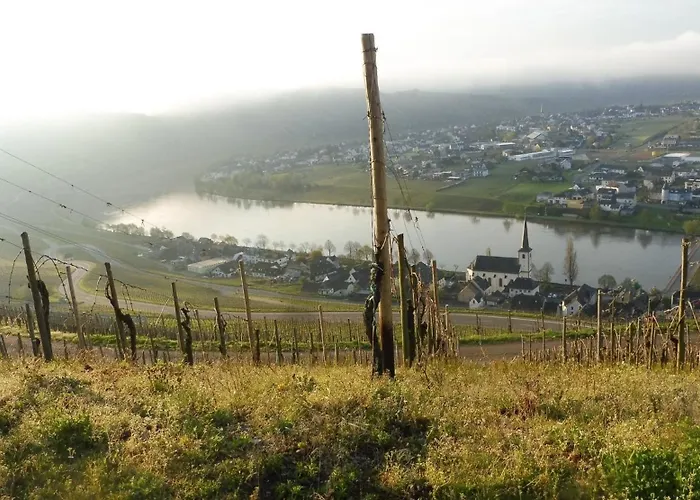 Mit Herrlichem Moselblick * פיספורט