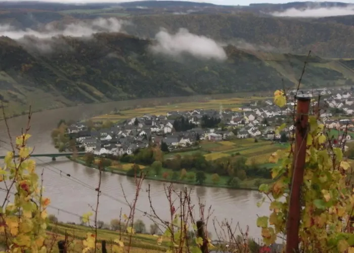 Mit Herrlichem Moselblick