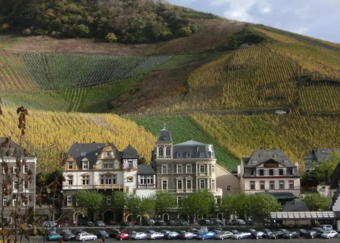 Mit Herrlichem Moselblick פיספורט